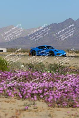 media/Jan-29-2023-PCA San Diego (Sun) [[aa0301ccc2]]/Yellow Group/Session 1 (Turn 15 Bloom)/